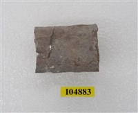 藏品(犀肋骨(模))的圖片